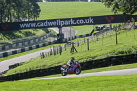 brands-hatch-photographs;brands-no-limits-trackday;cadwell-trackday-photographs;enduro-digital-images;event-digital-images;eventdigitalimages;no-limits-trackdays;peter-wileman-photography;racing-digital-images;trackday-digital-images;trackday-photos